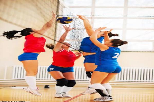 盘龙区体育培训机构收费标准一览